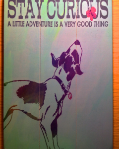 How Innovation Works 03